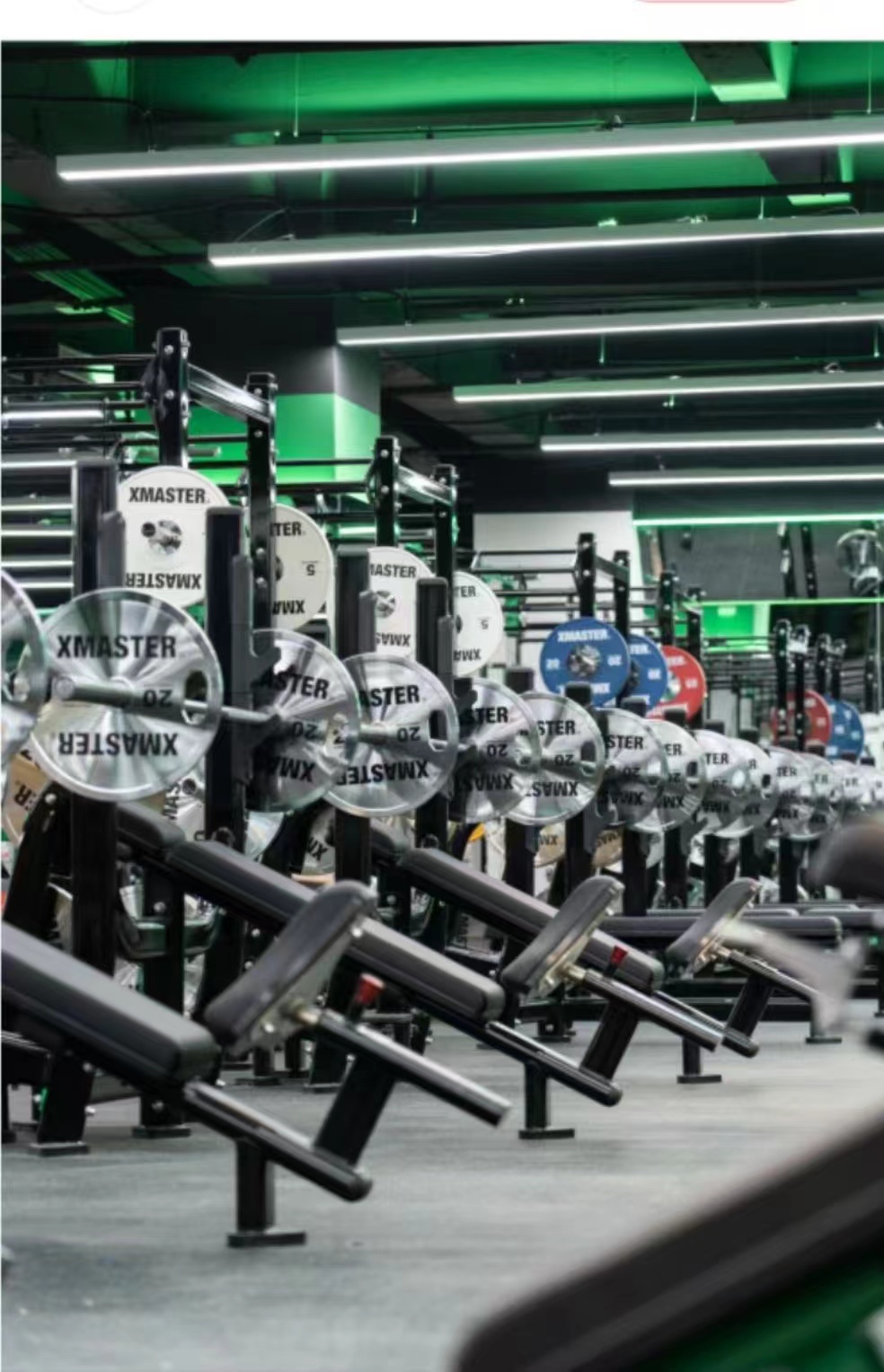 https://image.jumitop.cn/www.ganasgym.ru/2025/03/22/image_folder/оборудование для спортзала_T4OoylXs.jpg